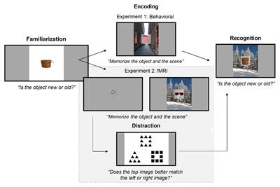 Behavioral and Neural Effects of Familiarization on Object-Background Associations